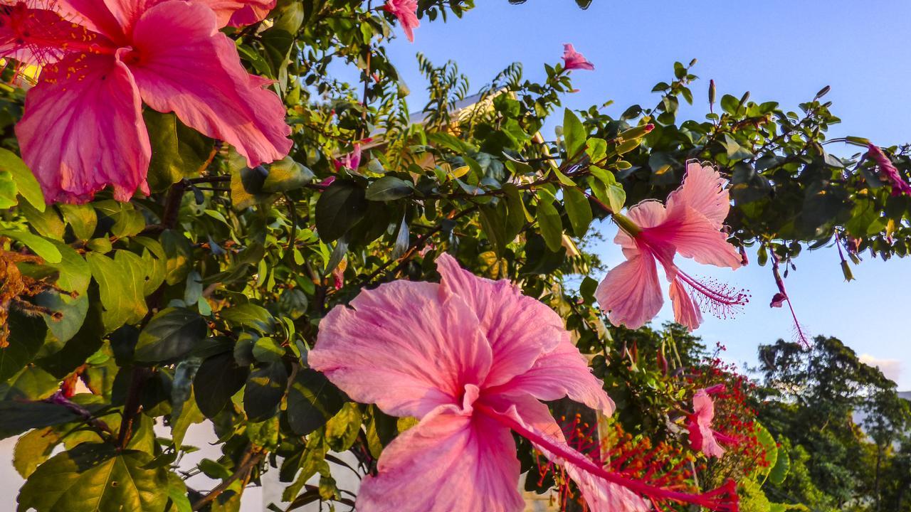 Mouggae Blues Villas Beau Vallon  Dış mekan fotoğraf