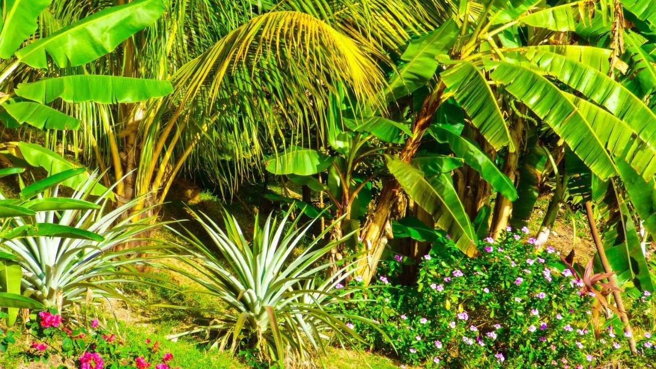 Mouggae Blues Villas Beau Vallon  Dış mekan fotoğraf